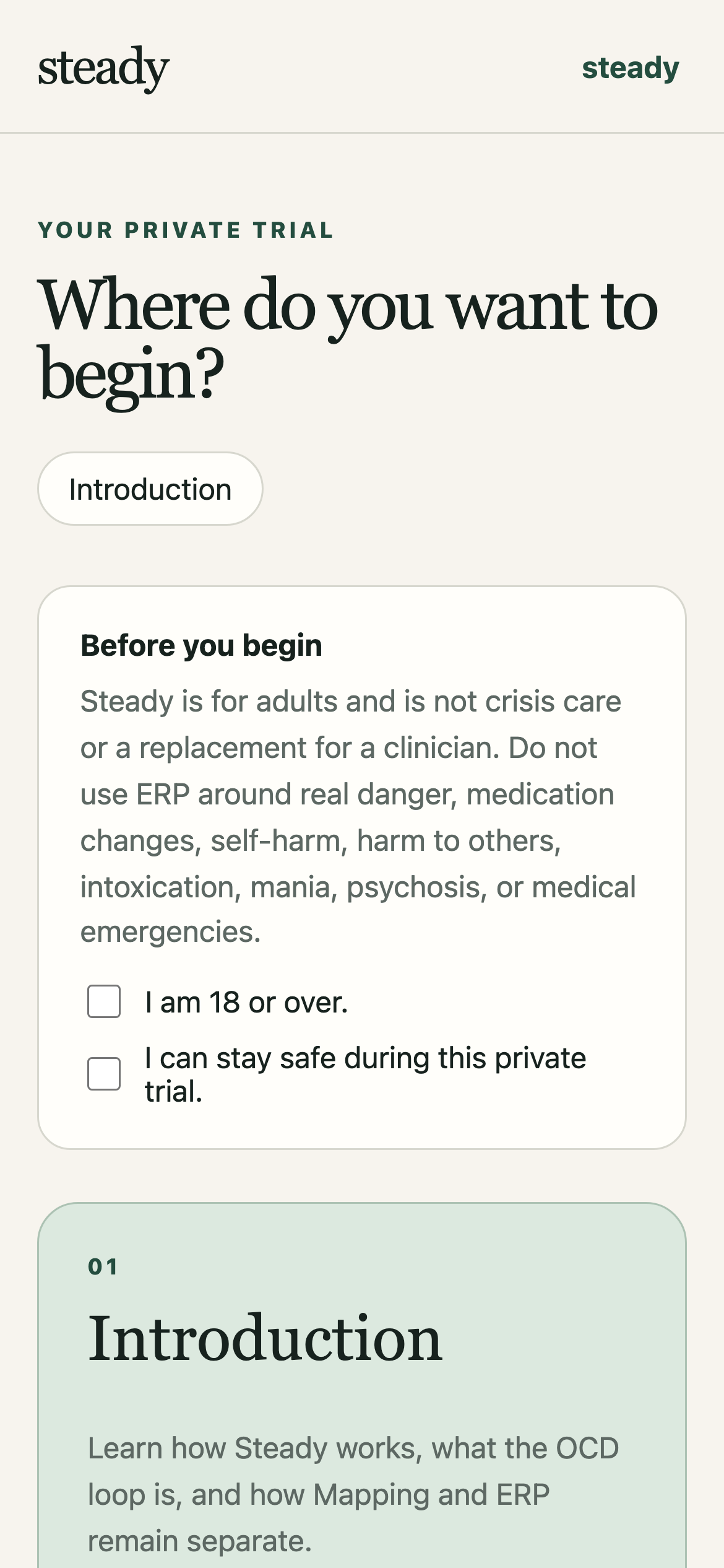 Steady on mobile: your private trial home screen