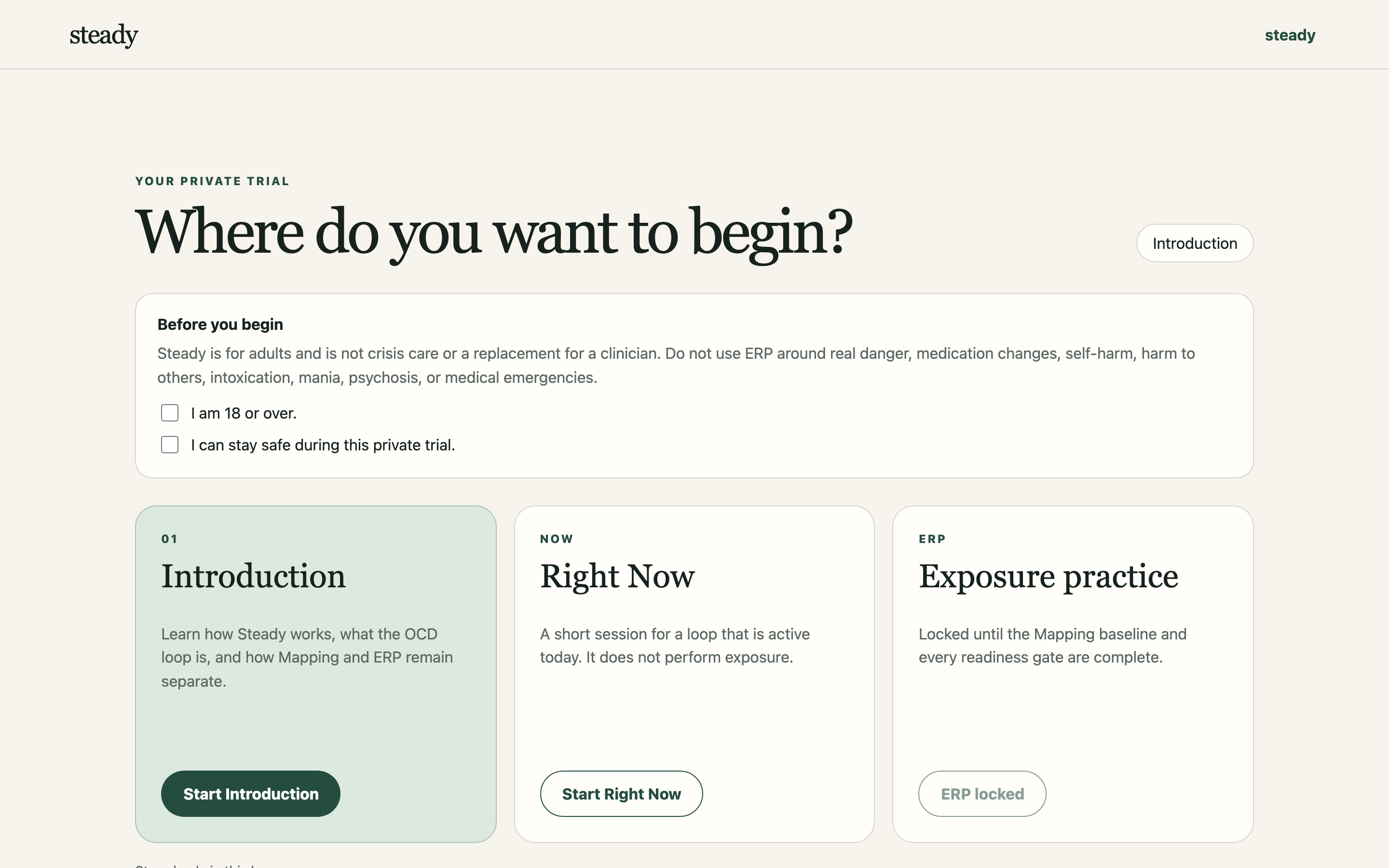 Steady web app: choosing where to begin